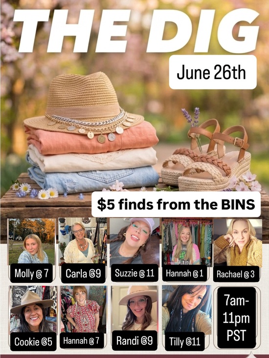 Sweaters - THE DIG- ALL DAY EVENT- EXCLUSIVELY The BINS- $5 starts. 
$25 GC Every 2 hours.